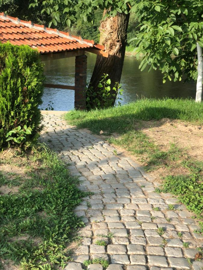 Apartmani Morava 54 Kocino Selo Exterior foto