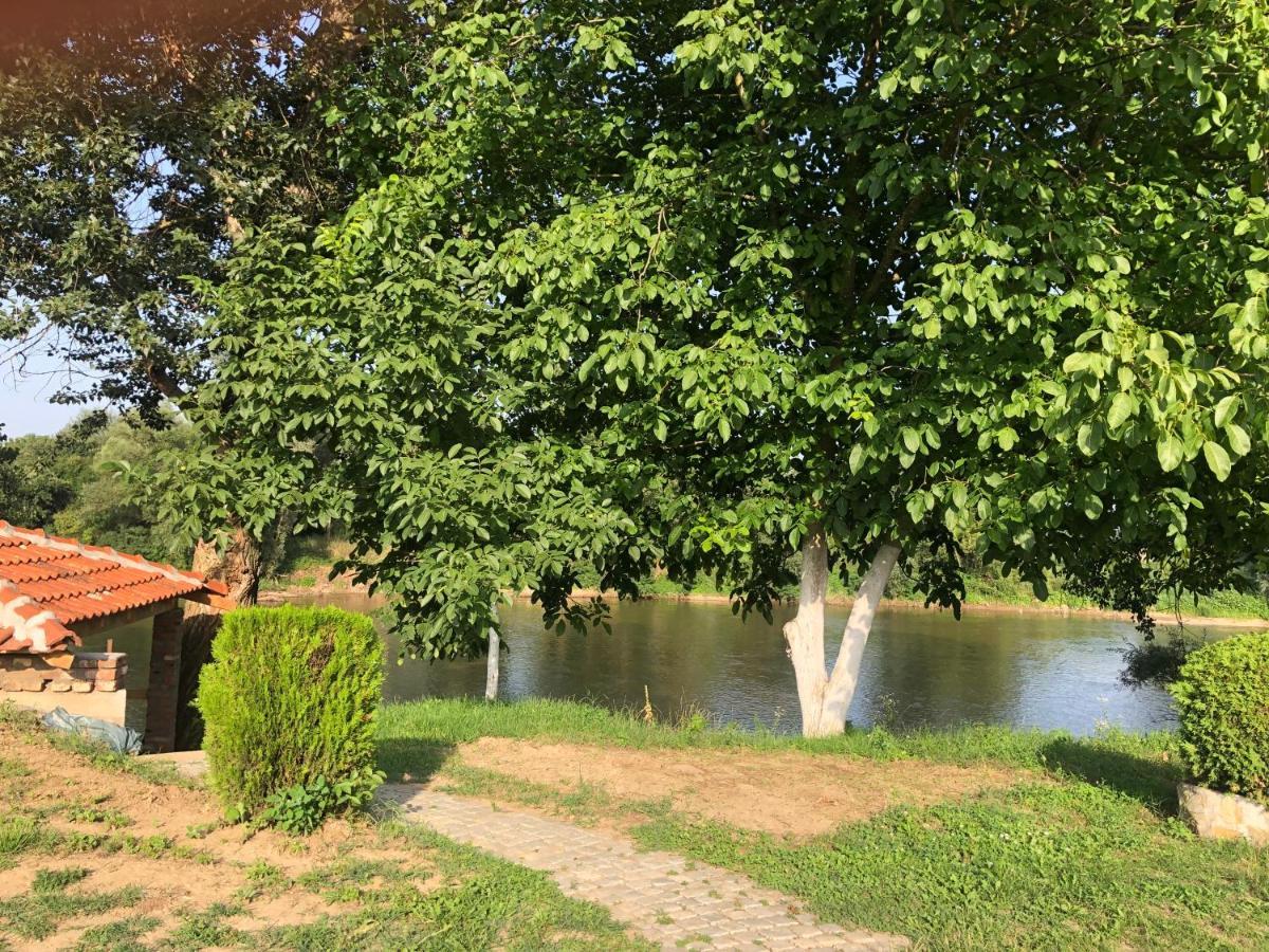 Apartmani Morava 54 Kocino Selo Exterior foto