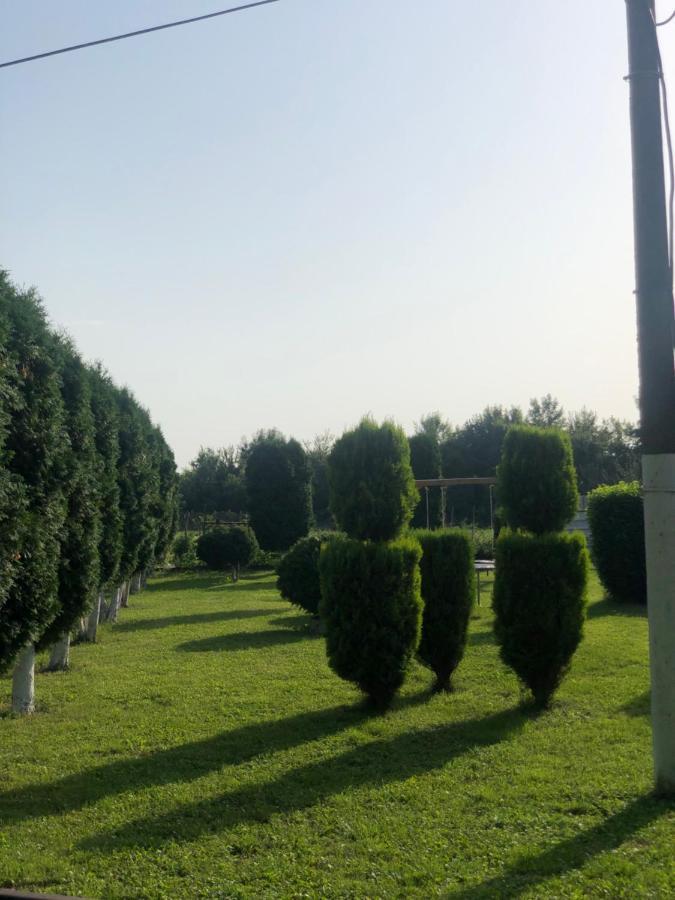Apartmani Morava 54 Kocino Selo Exterior foto